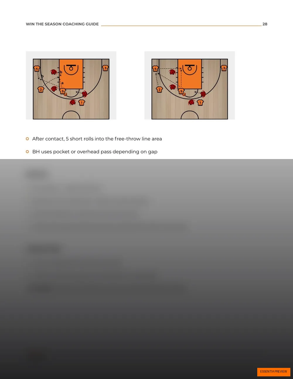 Preview of an ESSENTIA X's and O's play diagram page